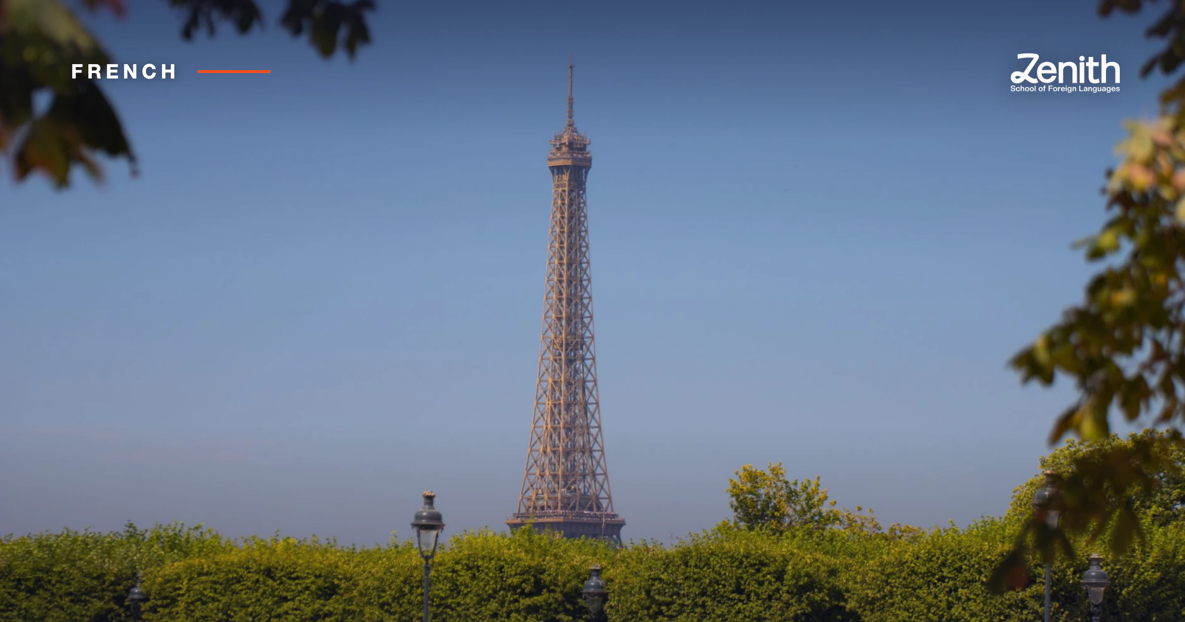 French Online Coaching in India with Certified Trainers